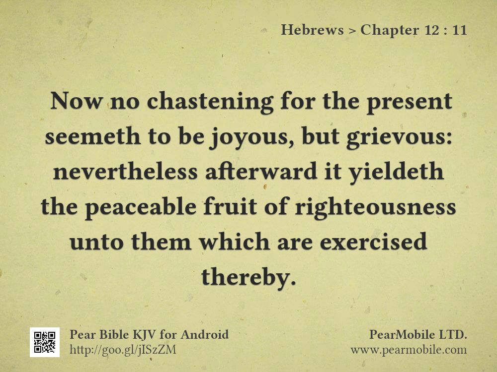 Hebrews, Chapter 12:11